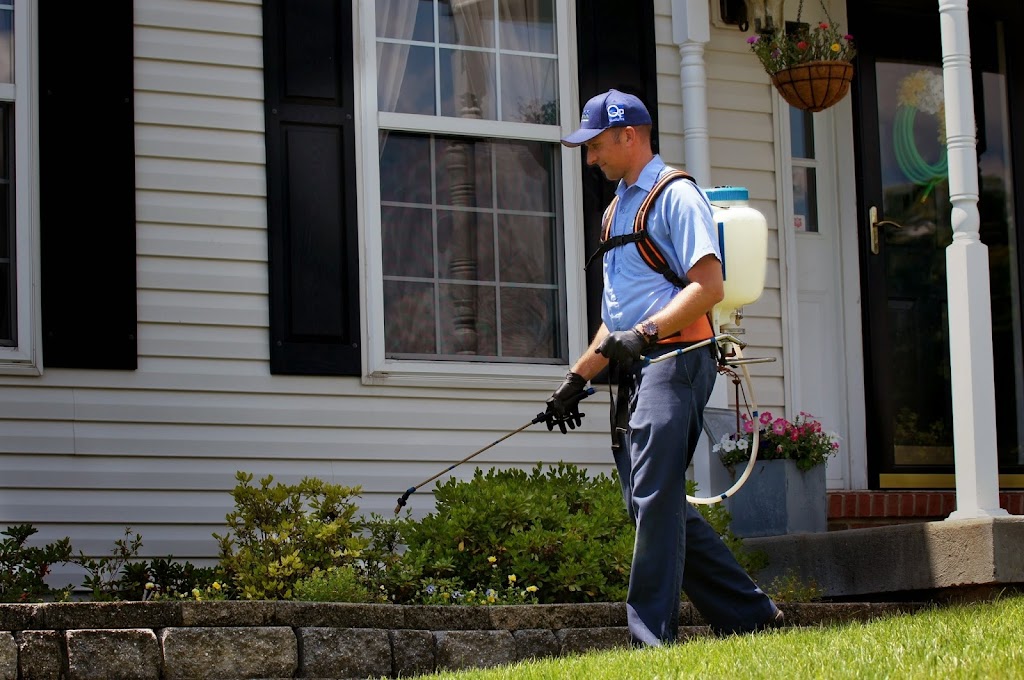 See Pest Control | 862 Gravel Pike, Collegeville, PA 19426, USA | Phone: (610) 287-9804