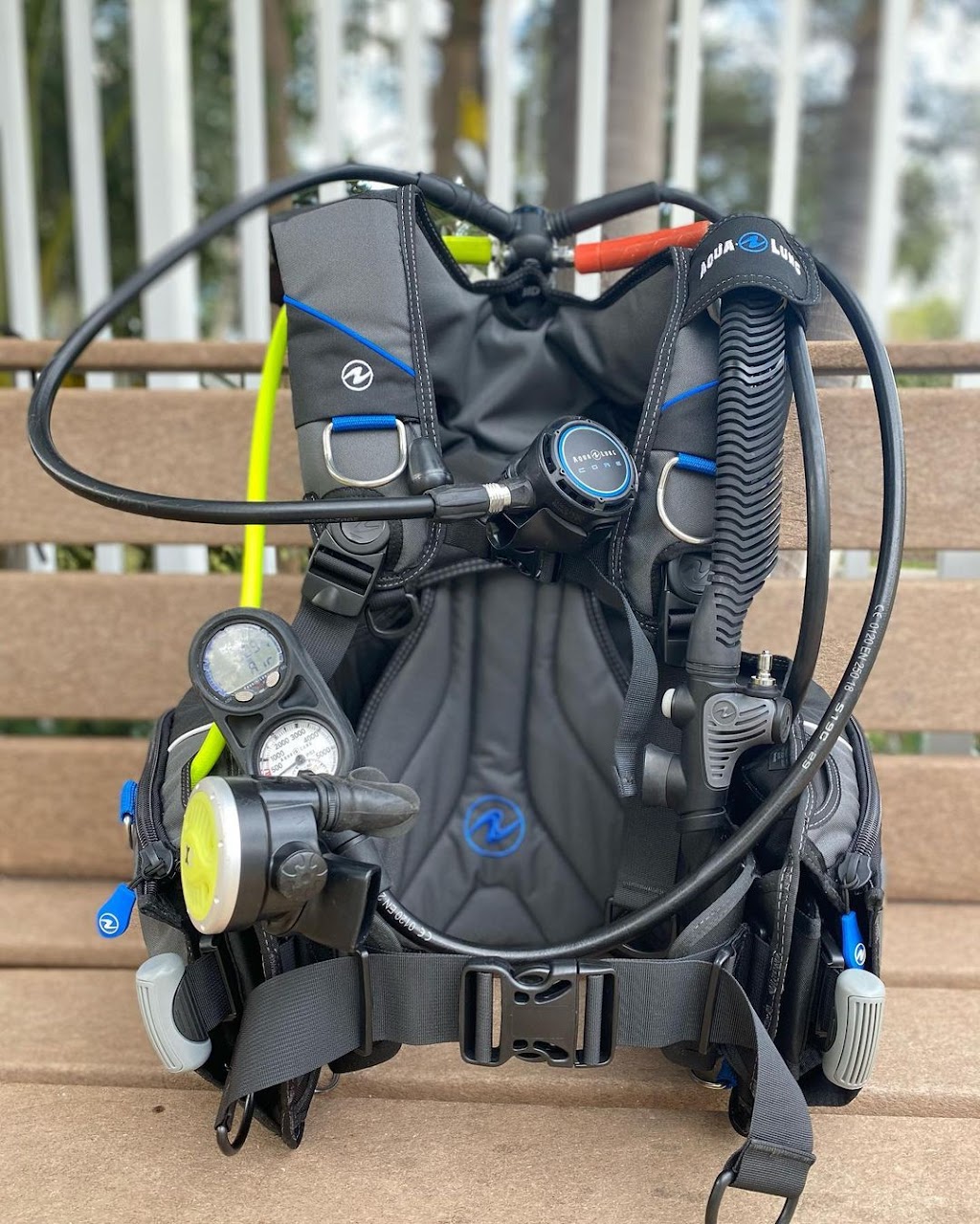 Diversion Excursion - Lady Go Diver | 515 N Federal Hwy, Deerfield Beach, FL 33441 | Phone: (954) 758-7524