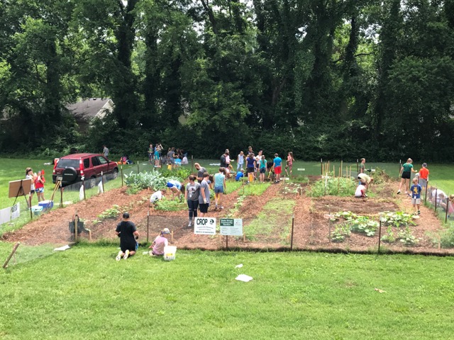 Murfreesboro Community Garden | 806 E State St, Murfreesboro, TN 37130, USA | Phone: (615) 497-5936