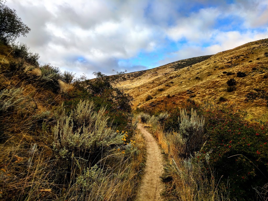 #78 Dry Creek Trail | 8768 N Bogus Basin Rd #8466, Boise, ID 83702, USA | Phone: (208) 493-2531