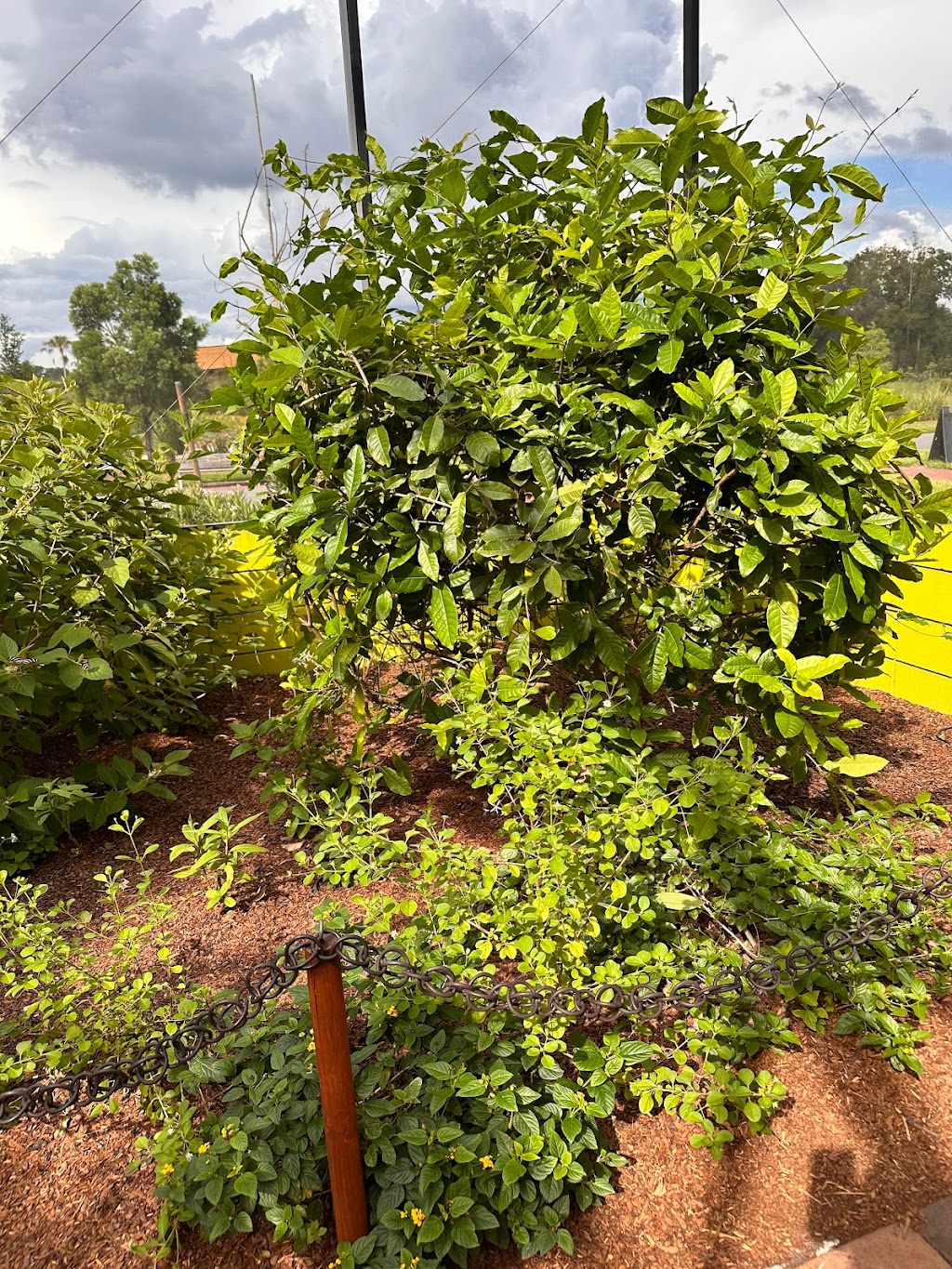 Zoey’s Butterfly House | 940 Bonnet Spgs Blvd, Lakeland, FL 33815, USA | Phone: (863) 732-7000