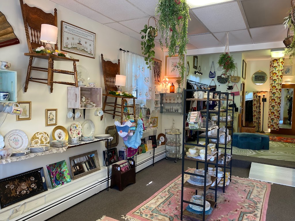 Pretty Oddities | 620 North St, Middletown, NY 10940, USA | Phone: (845) 394-0038
