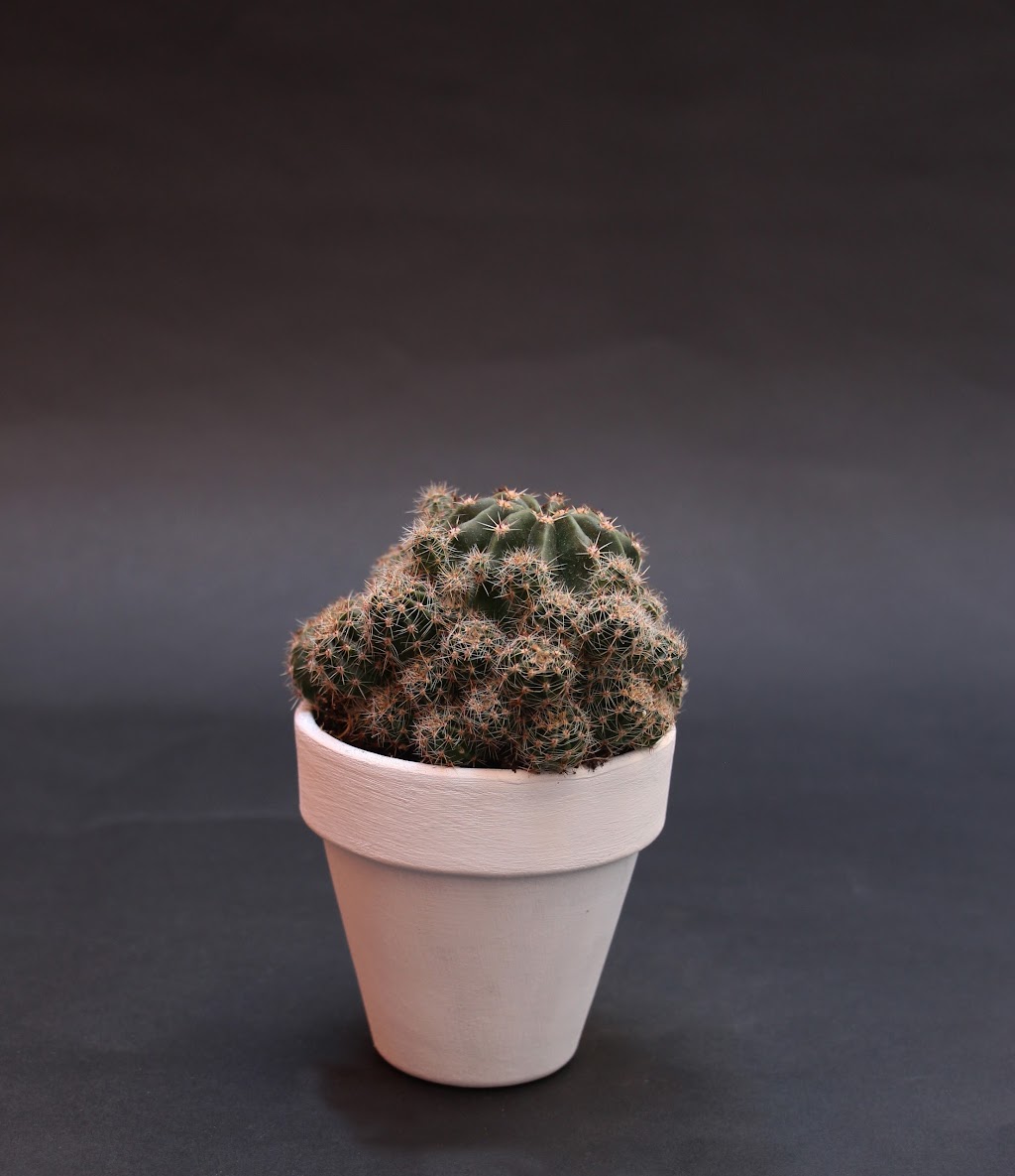 POPUP FLORIST | 120 W 28th St, New York, NY 10001, USA | Phone: (917) 675-7545