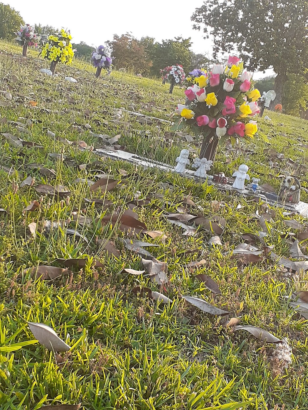 Mozley Memorial Gardens | 3180 S Sweetwater Rd, Lithia Springs, GA 30122, USA | Phone: (770) 948-8055