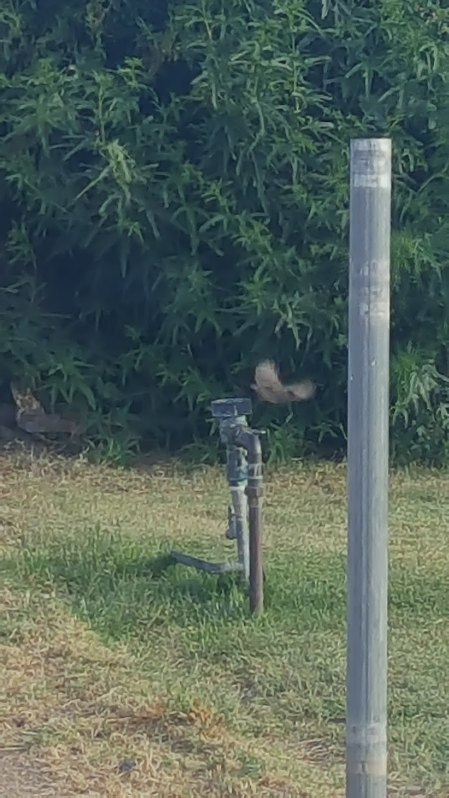 Westwood Mobile Home Park | 3815 N 27th Ave, Phoenix, AZ 85017, USA | Phone: (602) 277-6312