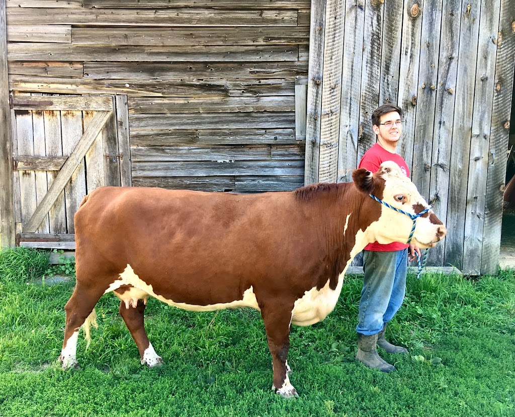 OverEast Family Farm | 480 Beattie Hollow Rd, Salem, NY 12865, USA | Phone: (518) 321-3184
