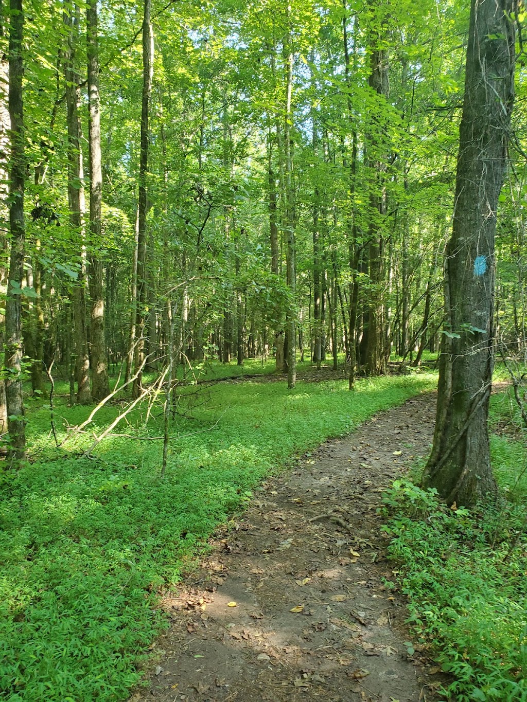 The Ridge Nature Preserve | 390 Burch Rd, Fayetteville, GA 30215, USA | Phone: (770) 486-7774