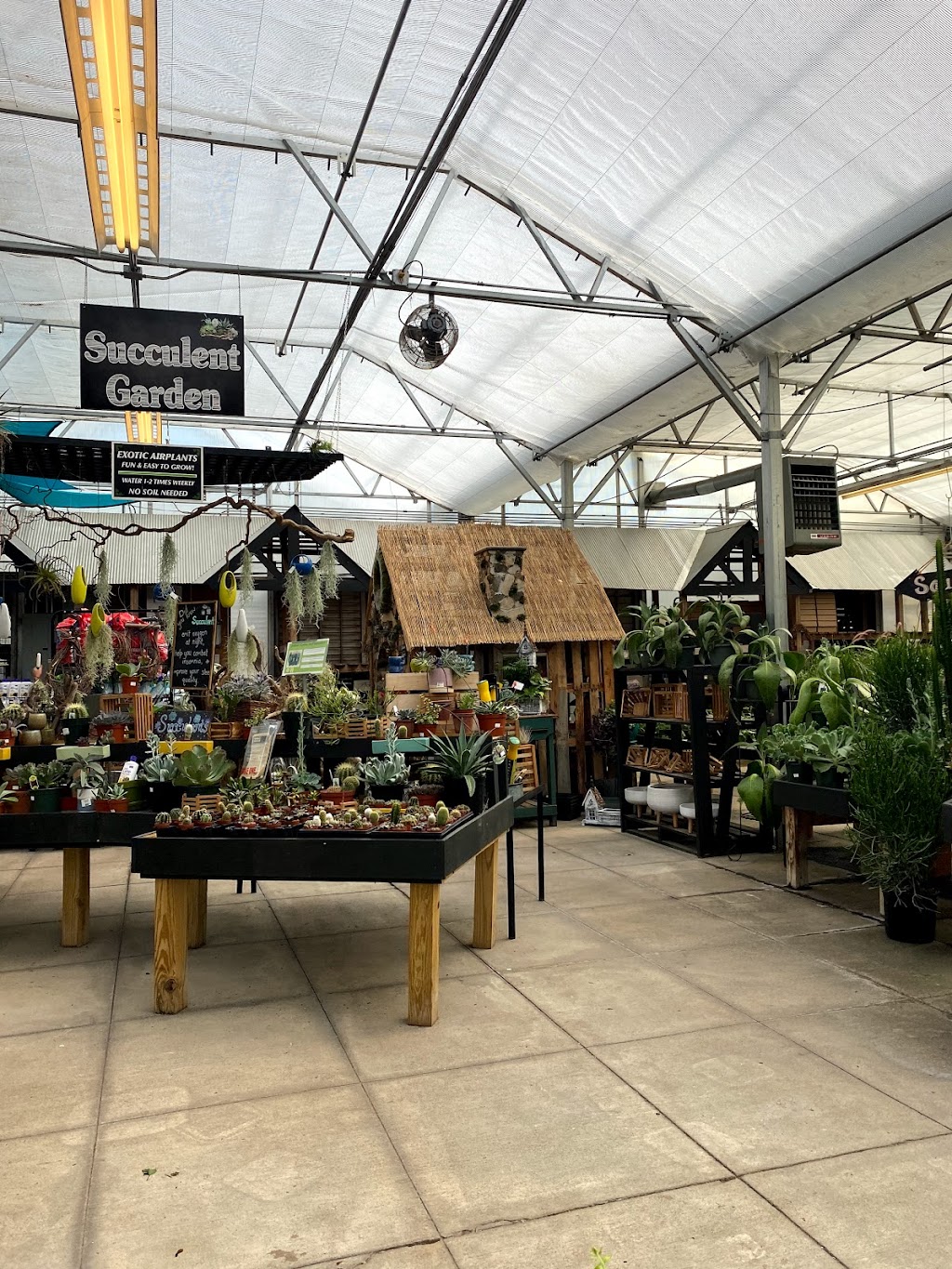 Homewood Nursery & Garden Center | 10809 Honeycutt Rd, Raleigh, NC 27614, USA | Phone: (919) 847-0117