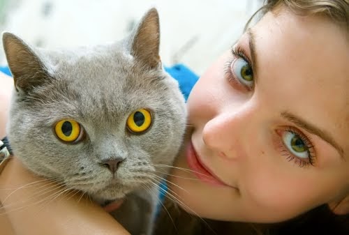 Cat Hospital At Towson | 6701 York Rd, Baltimore, MD 21212, USA | Phone: (410) 377-7900