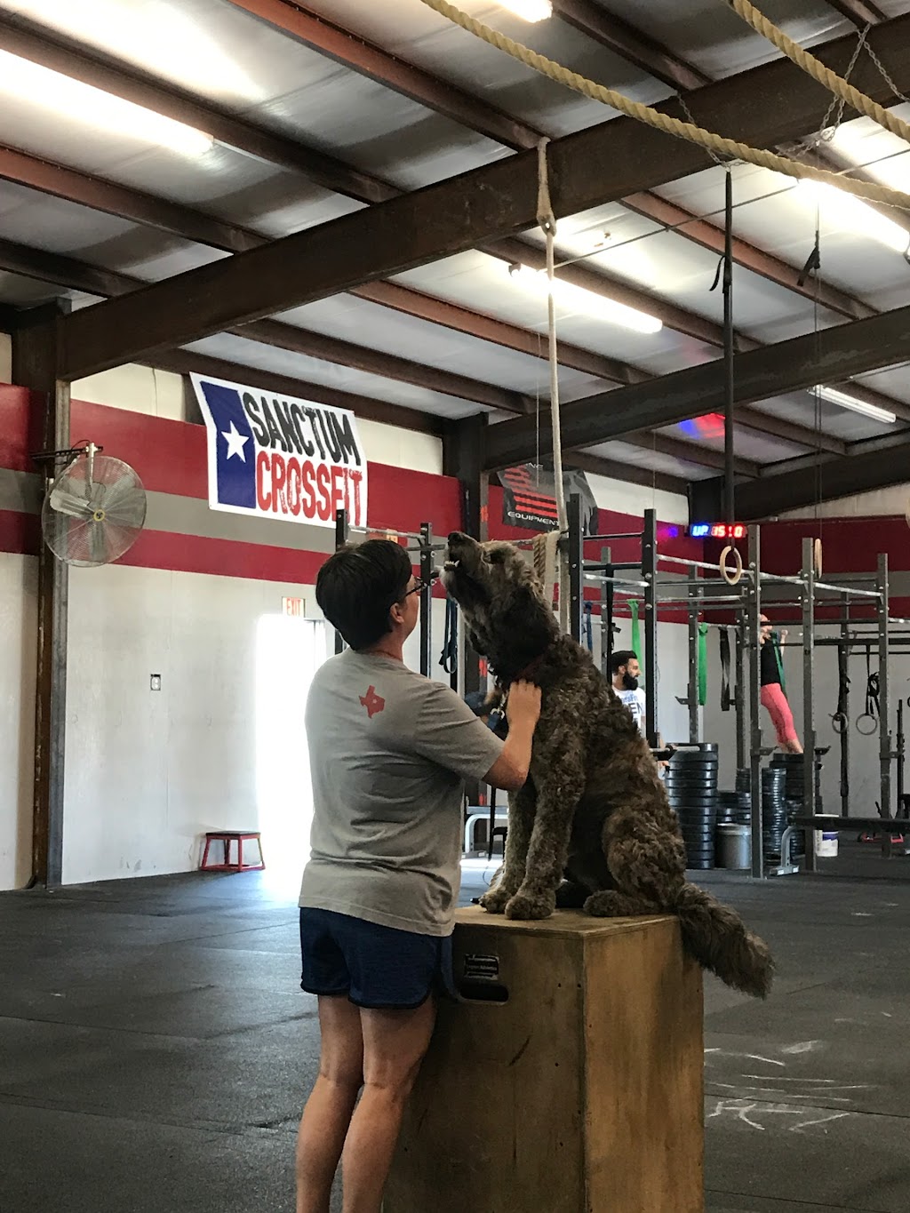 Sanctum CrossFit | 1855 Wesley Dr, Prosper, TX 75078, USA | Phone: (214) 833-9210