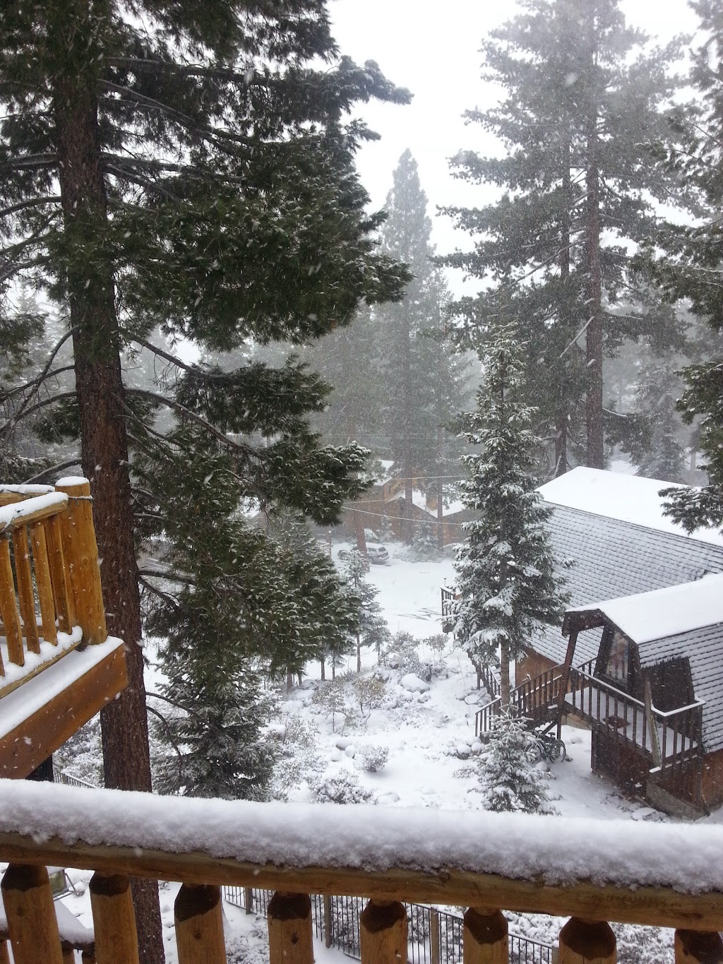 Northshore Transportation | 511 Mountain Cir, Kings Beach, CA 96143, USA | Phone: (530) 546-2885