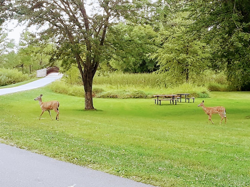 Clifton E. French Regional Park | 12605 Rockford Rd, Plymouth, MN 55441, USA | Phone: (763) 694-7750