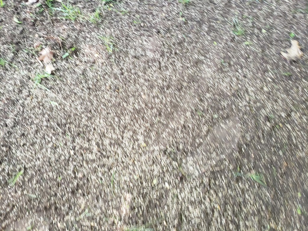 Turf X | 956 Mallard Ln, Belle Plaine, MN 56011, USA | Phone: (952) 210-6057