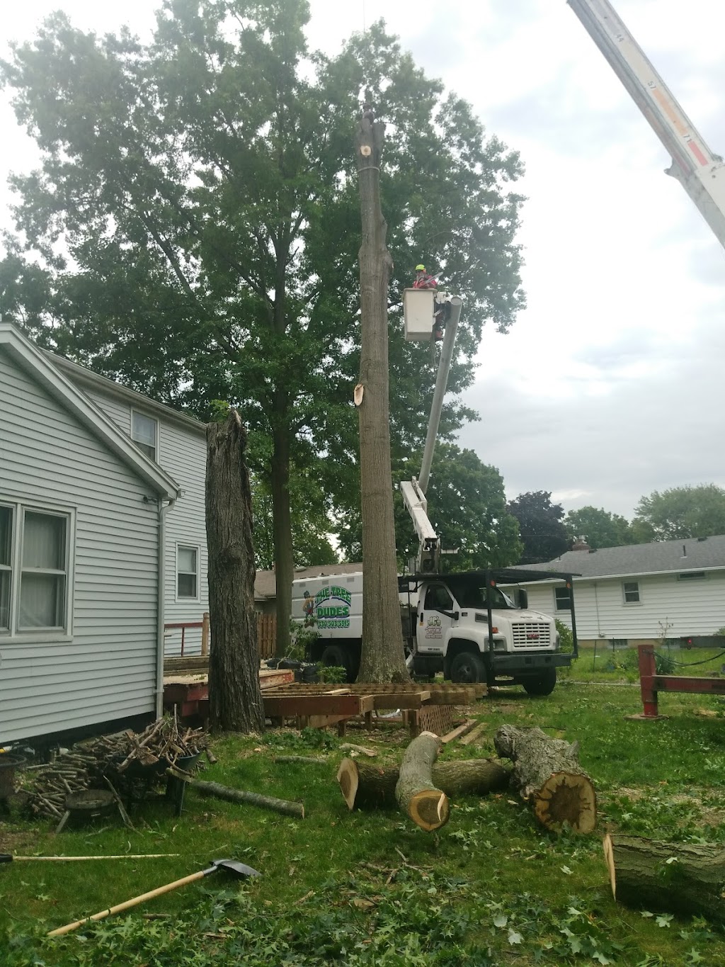 J.C.s Landscaping & Tree Service | 18 Coitsville Rd, Campbell, OH 44405, USA | Phone: (330) 503-5915