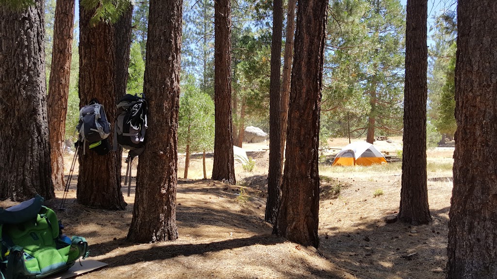 Lower Peppermint Campground | Forest Rte 22S82, Springville, CA 93265, USA | Phone: (559) 784-1500