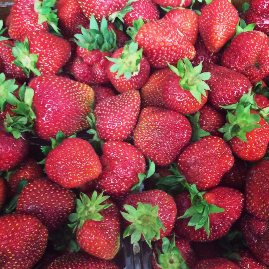 Bauman Orchards Inc | 161 Rittman Ave, Rittman, OH 44270, USA | Phone: (330) 925-6861