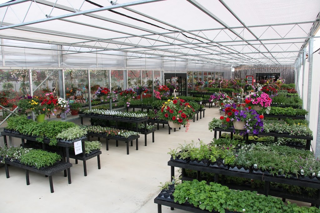 Harvest View Greenhouses | 4936 W Main St, Fredonia, NY 14063, USA | Phone: (716) 672-4822