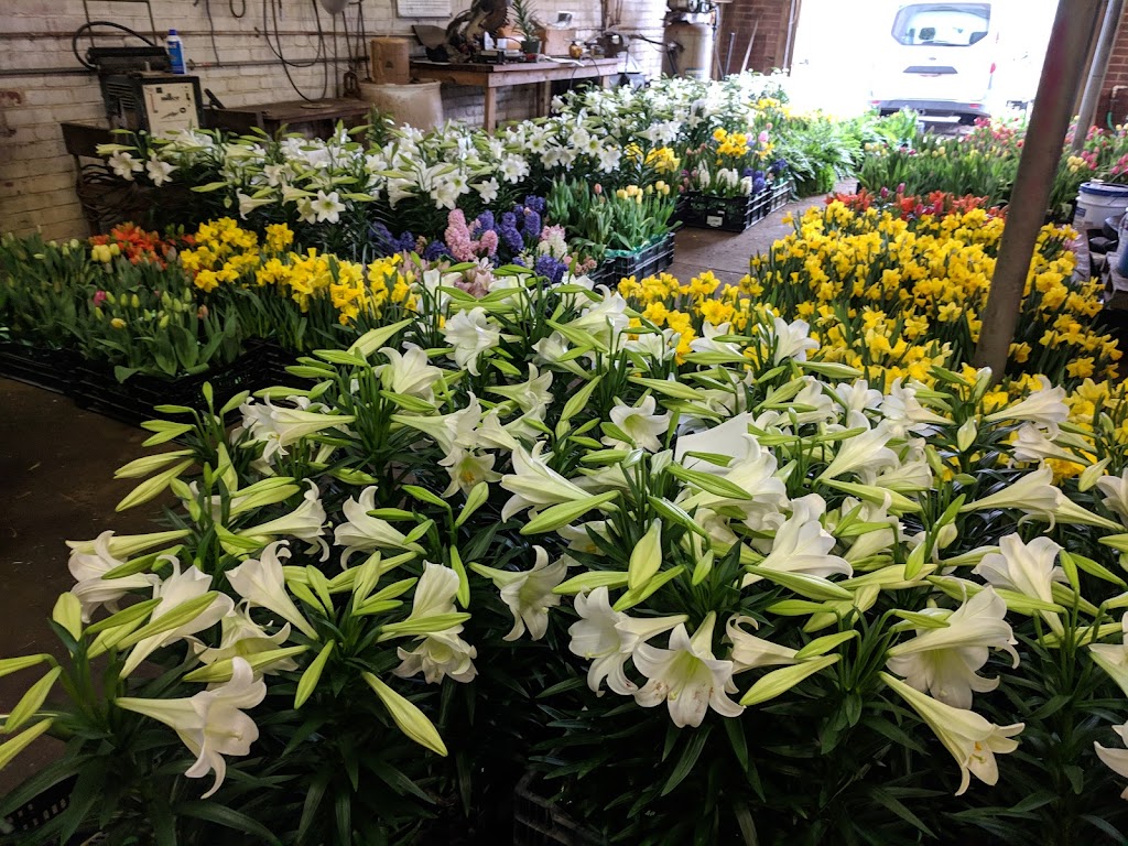 DeHoff Flowers, Greenhouse & Landscaping | 3517 Beechwood Ave, Alliance, OH 44601, USA | Phone: (330) 823-1455