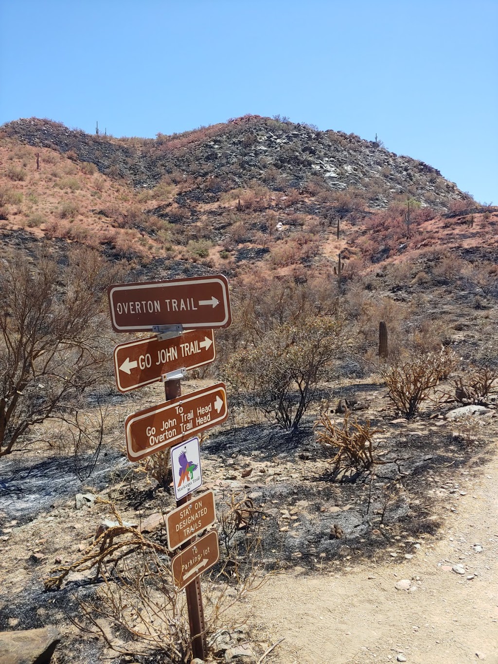 Cave Creek Regional Park | 37900 E Cave Creek Pkwy, Cave Creek, AZ 85331, USA | Phone: (623) 465-0431