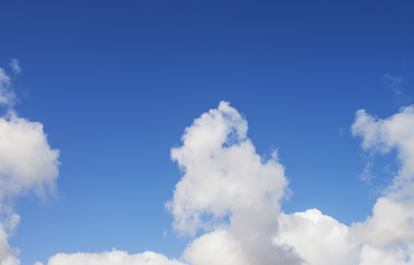 Cloud Termite and Pest Control | 4700 Manatee Ave W, Bradenton, FL 34209, USA | Phone: (941) 746-1147