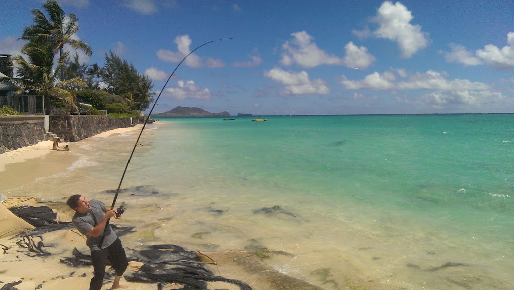 Team Lion United Private Soccer Lessons | Via, Murrieta, CA 92562, USA | Phone: (808) 271-2993