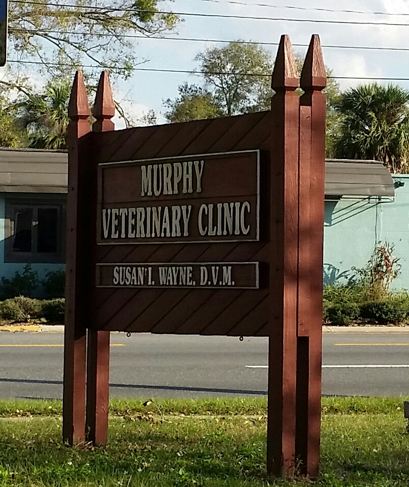 Murphy Veterinary Clinic Inc | 2620 S Orlando Dr, Sanford, FL 32773, USA | Phone: (407) 323-4707