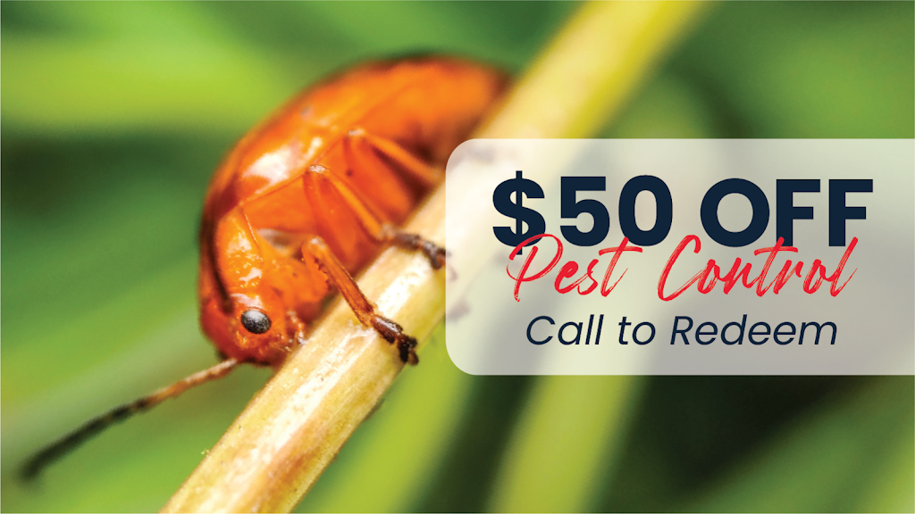 Fox Pest Control - Corpus Christi | 5233 I-37 Frontage Rd suite b-15, Corpus Christi, TX 78408, USA | Phone: (361) 287-7867