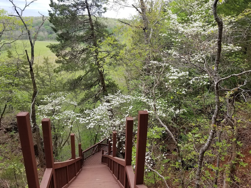 Robinson Bluff Climbing Area | 11050 Bo Hollow Rd, Cadet, MO 63630, USA | Phone: (314) 258-0250