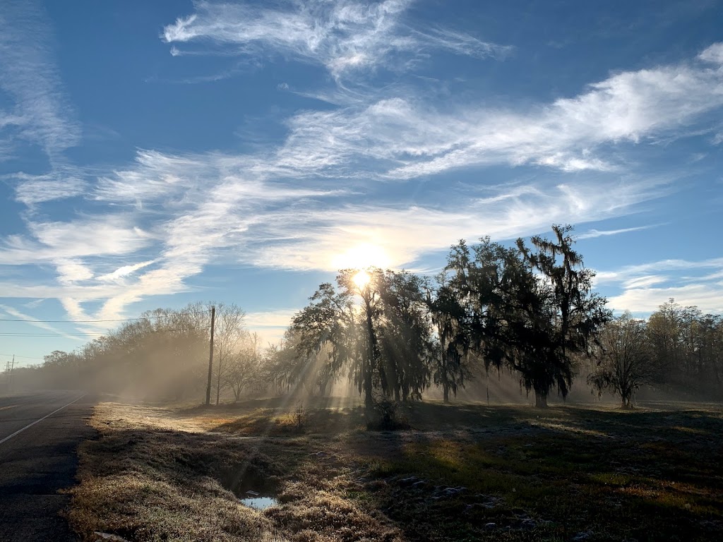 Cajun Cabin Bayou Corne | Sportsmans Dr, Belle Rose, LA 70341, USA | Phone: (985) 252-8700