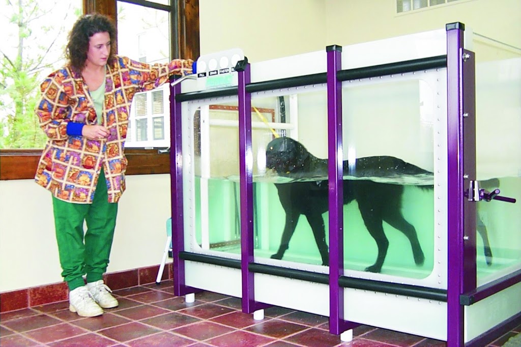 Animal Rehabilitation Center-Mi | 1490 Lochaven Rd, Waterford Twp, MI 48327, USA | Phone: (248) 363-5061