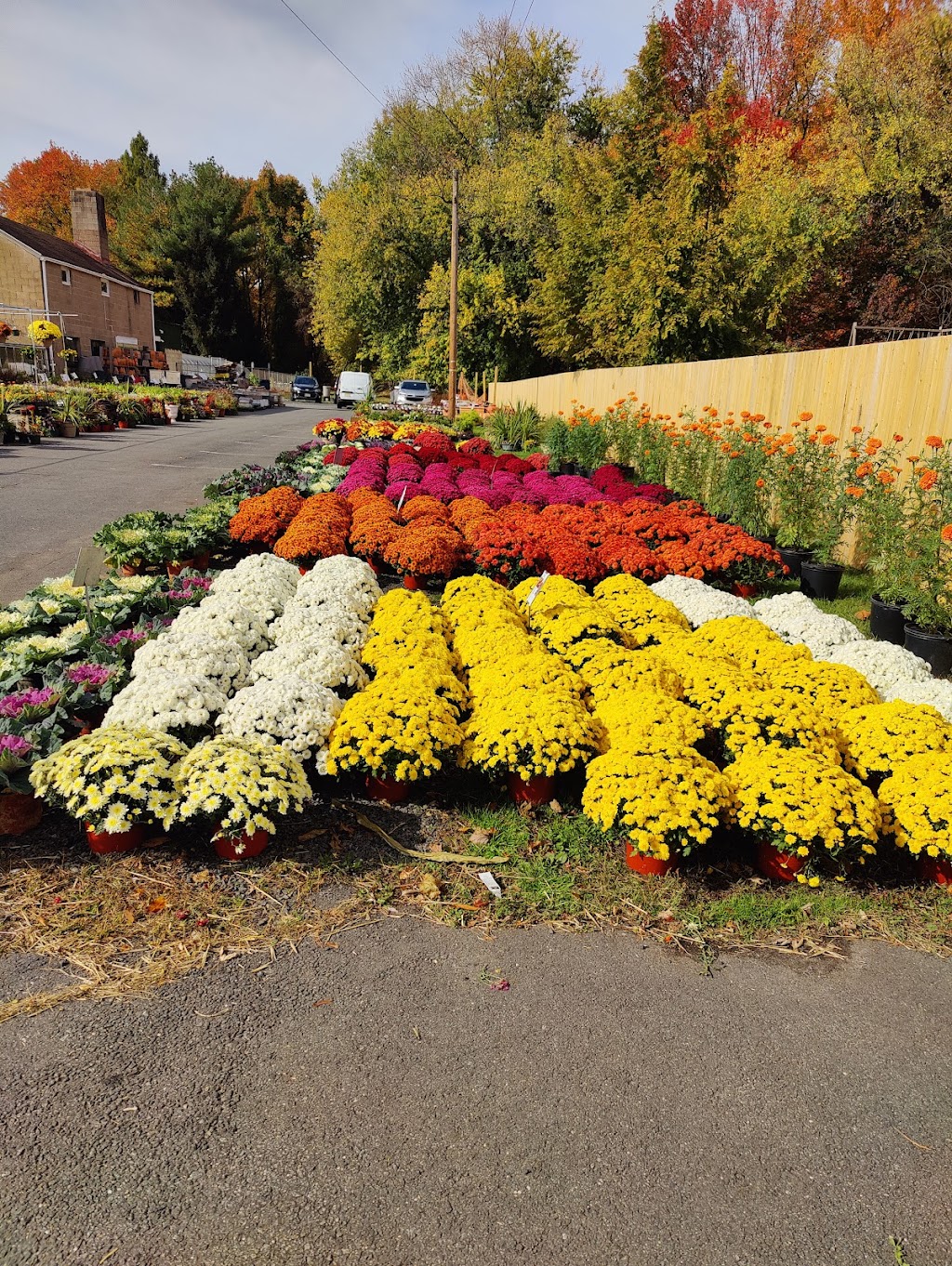 Bountiful Gardens | 1365 Lawrenceville Rd, Lawrence Township, NJ 08648, USA | Phone: (609) 771-6690