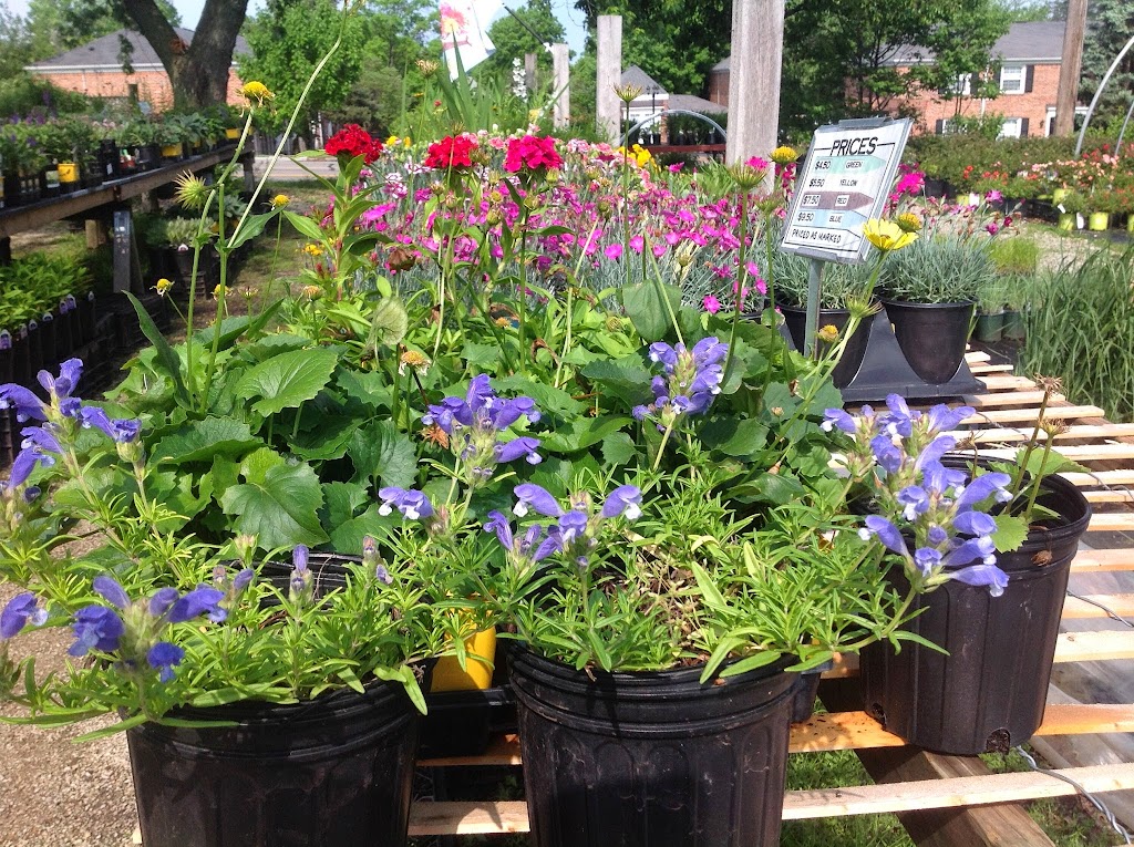 Hartke Nursery | 1030 N Warson Rd, St. Louis, MO 63132 | Phone: (314) 997-6679