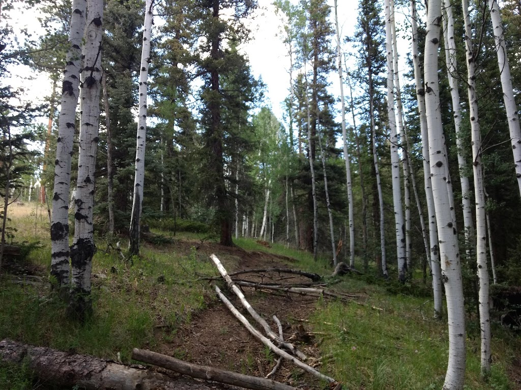 Phantom Creek Trailhead | Divide, CO 80814, USA | Phone: (719) 636-1602