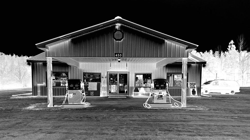 Jones Gas & Groceries | 455 Jumping Run Rd, Dunn, NC 28334, USA | Phone: (919) 894-2291