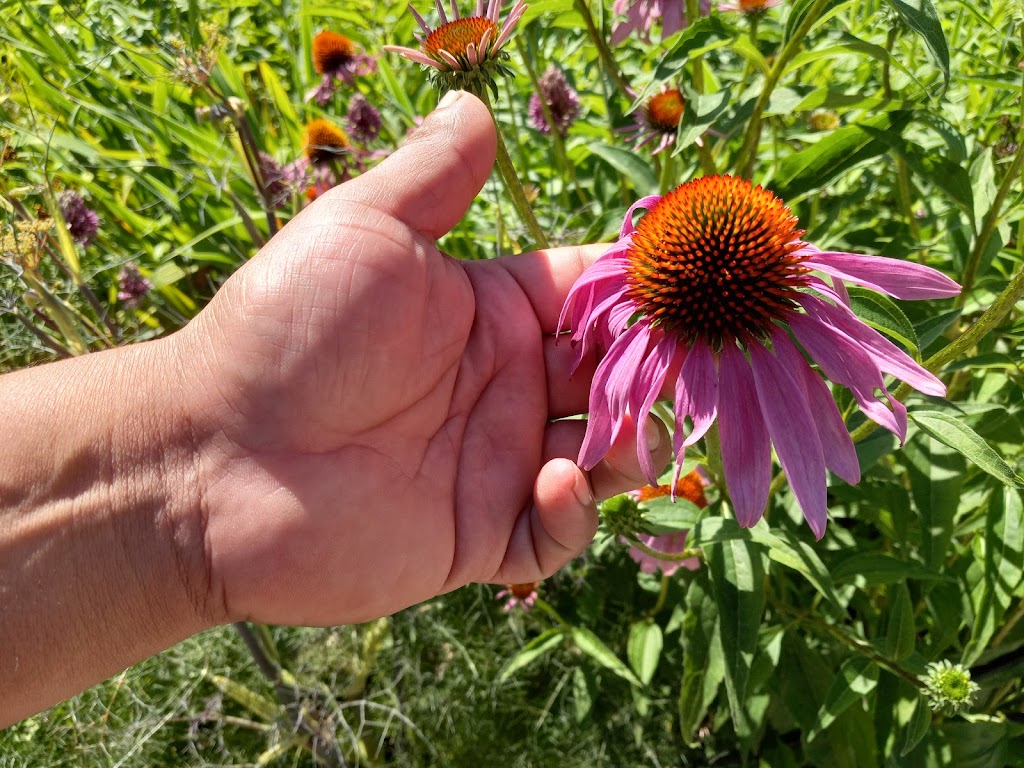 Sam Kitchen | 13129 Holdridge Rd, Silver Spring, MD 20906, USA | Phone: (240) 618-9893