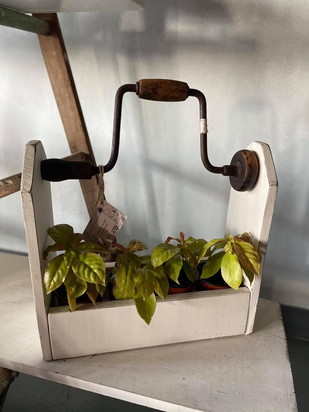 Dirty Girl Gardens | 828 US-90 E Units I & J, Bay St Louis, MS 39520, USA | Phone: (601) 463-1590