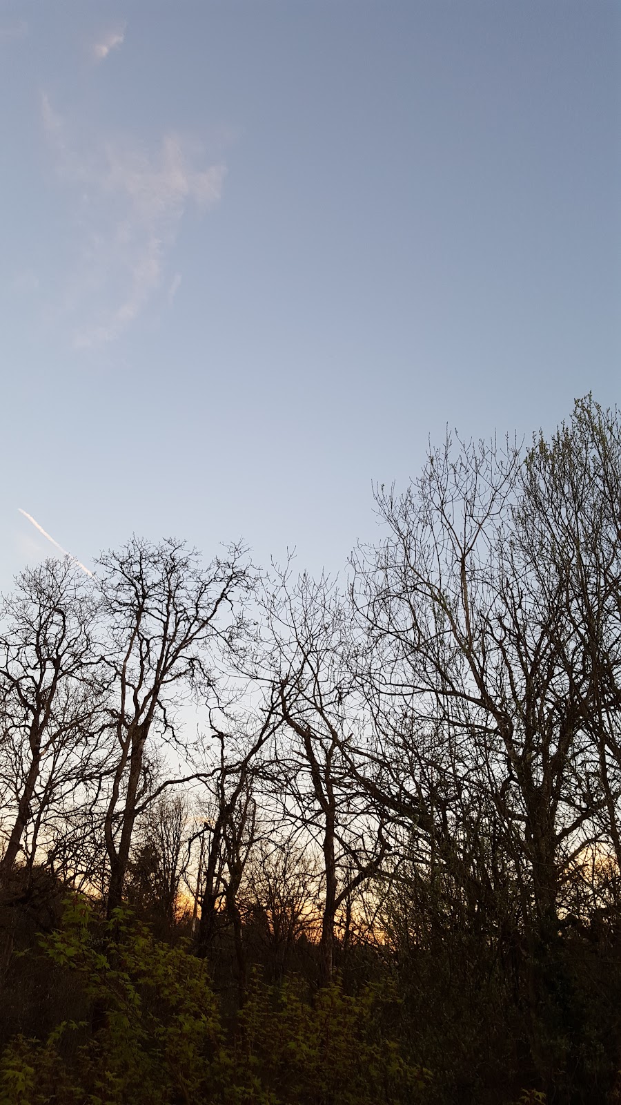 Crestwood Manufactured Home | 2154 Oregon St #3, St Helens, OR 97051, USA | Phone: (503) 397-1988