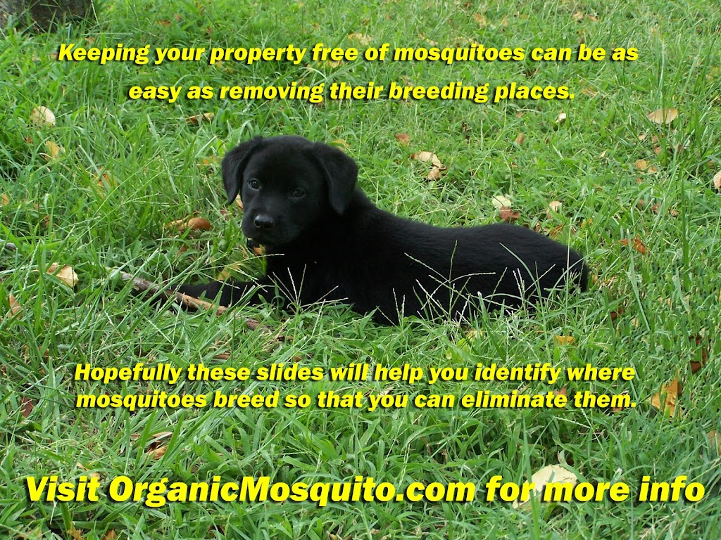 Organic Mosquito Services | 1457 Kelly Rd STE 124, Apex, NC 27502, USA | Phone: (919) 371-8857