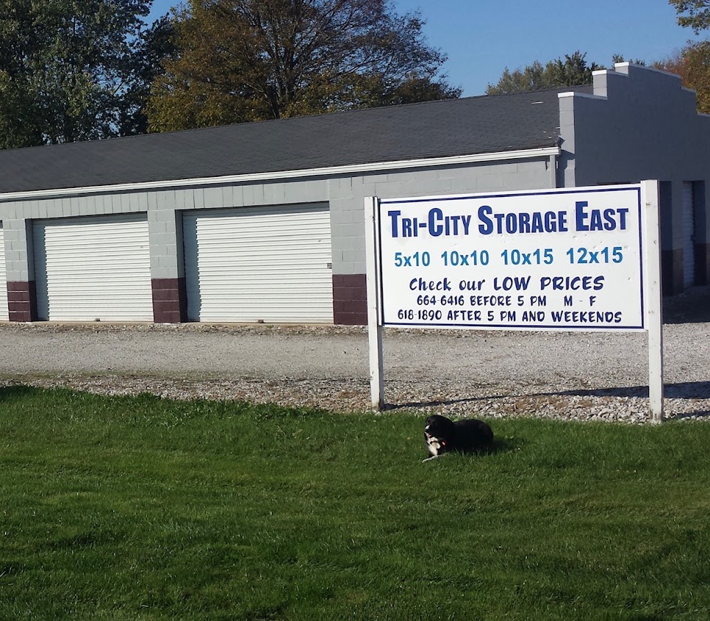 Tri-City Storage - East | 203 N 10th St, Gas City, IN 46933, USA | Phone: (765) 618-1890