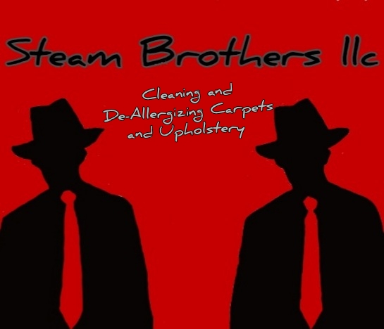 Steam Brothers LLC | 42 Orchard Pl, Gowanda, NY 14070, USA | Phone: (716) 259-0141