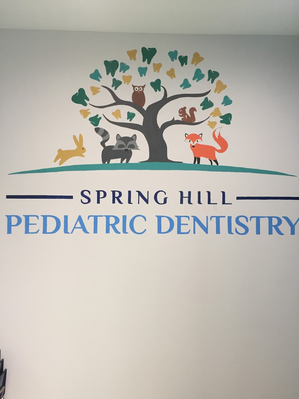 Spring Hill Pediatric Dentistry + Orthodontics | 7140 Sagheer St, Brooksville, FL 34613, USA | Phone: (352) 544-9594