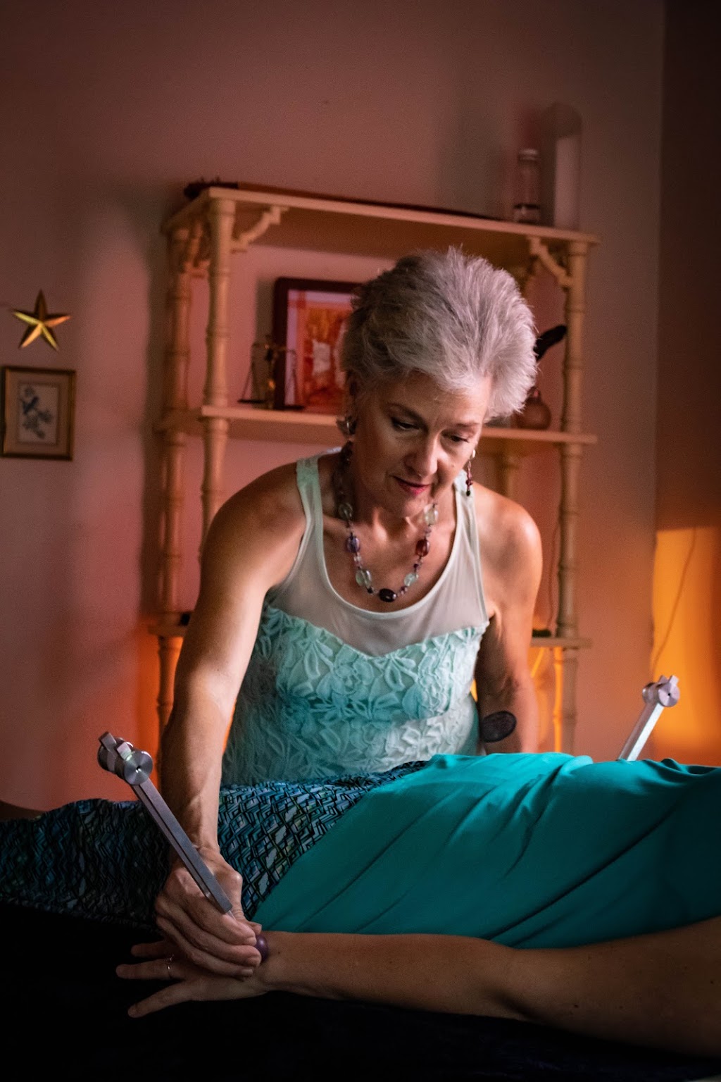 Wildwood Gardens Sound Healing Center | 1311 Rhodes Ave, Sarasota, FL 34239, USA | Phone: (941) 320-6085