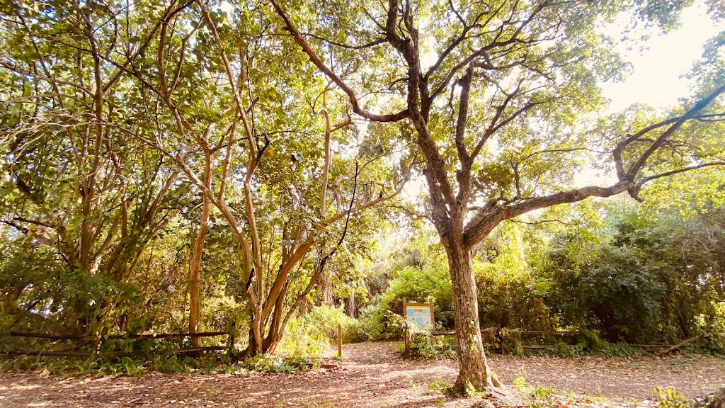 Plantation Heritage Park | 1100 S Fig Tree Ln, Plantation, FL 33317, USA | Phone: (954) 357-5135