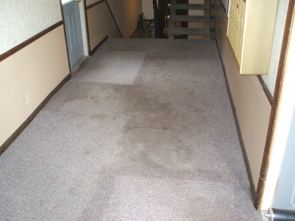AAA Carpet Cleaning Omaha and Water Damage Restoration | 6120 N 68th St, Omaha, NE 68104, USA | Phone: (402) 510-8579