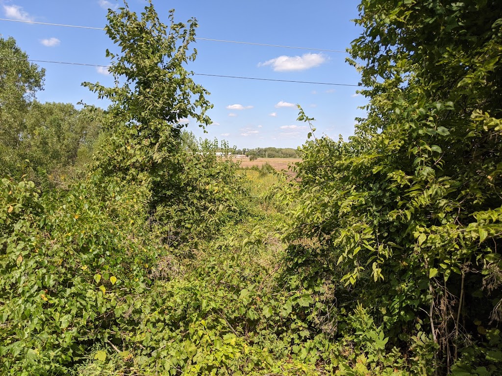 Prairie Sunset Trail | Rails to Trail Bike / walking trail, Wichita, KS 67235, USA | Phone: (316) 685-4545