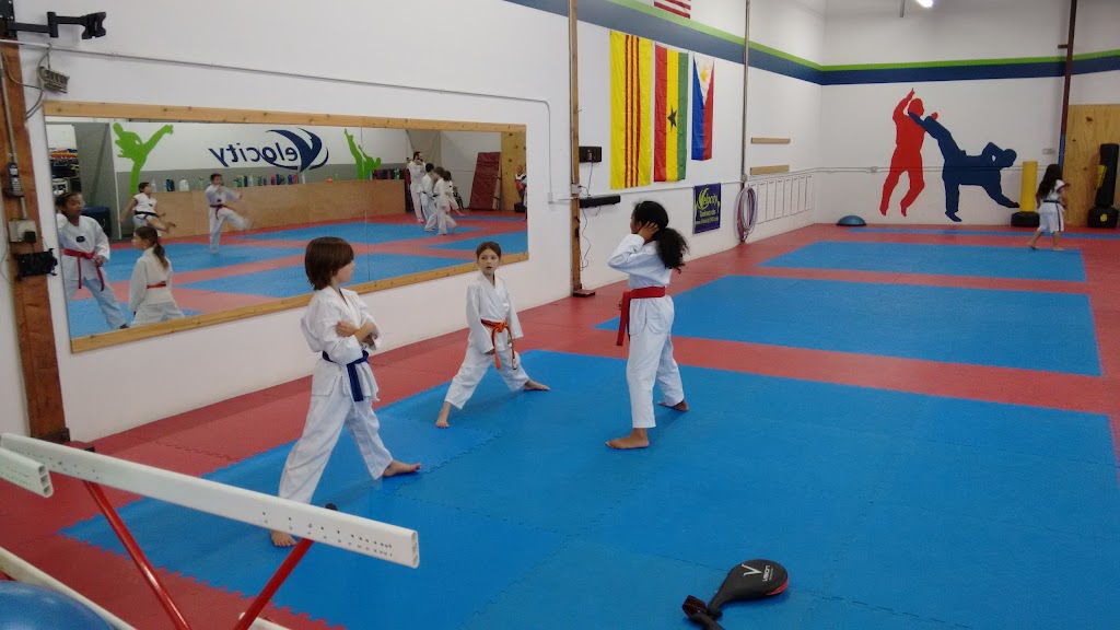 Velocity Taekwondo Center LLC | 8626 S 228th St, Kent, WA 98031, USA | Phone: (425) 656-1239