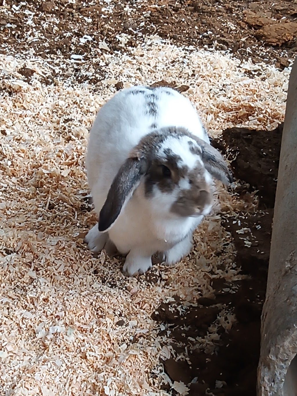 Twisted Bit Ranch | 21844 Rd 29 1/2, Madera, CA 93638, USA | Phone: (559) 931-2400