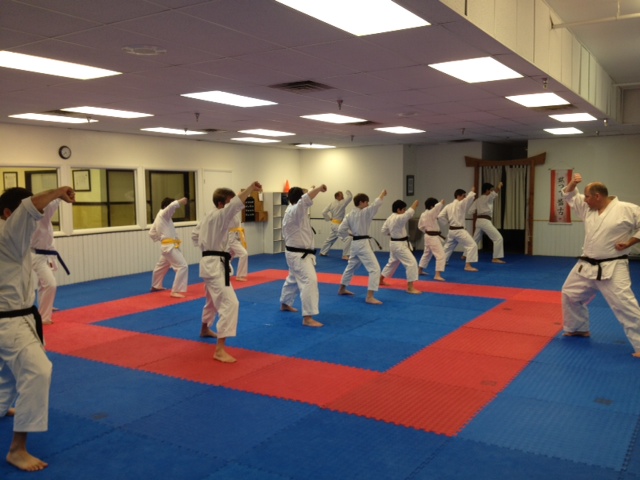 Japanese Karate-Do Shotokan | 11910 Montgomery Rd, Cincinnati, OH 45249, USA | Phone: (513) 697-8988