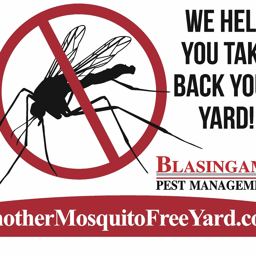 Blasingame Pest Managment, Inc. | 2952 N Expy, Griffin, GA 30223, USA | Phone: (770) 914-1036