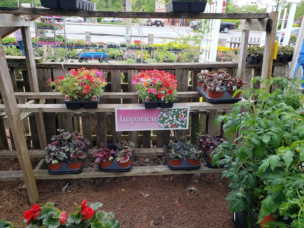 Uncle Bills Garden Center | 8642 Winton Rd, Cincinnati, OH 45231, USA | Phone: (513) 522-4438